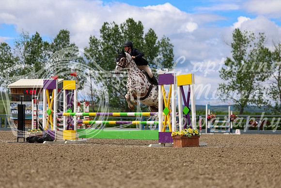 02127 - Shea - 2026 June Classic II - Thursday June 18th