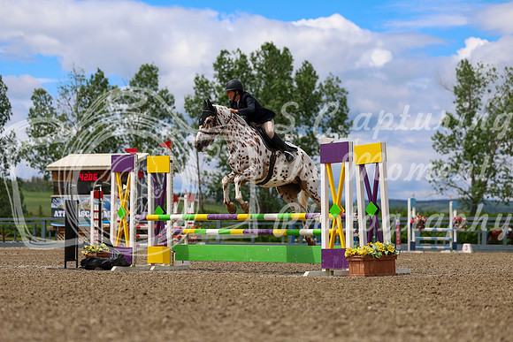 02131 - Shea - 2026 June Classic II - Thursday June 18th