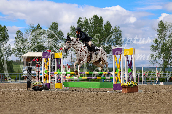 02133 - Shea - 2026 June Classic II - Thursday June 18th