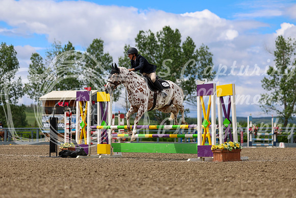 02134 - Shea - 2026 June Classic II - Thursday June 18th