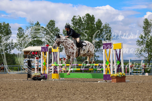 02135 - Shea - 2026 June Classic II - Thursday June 18th