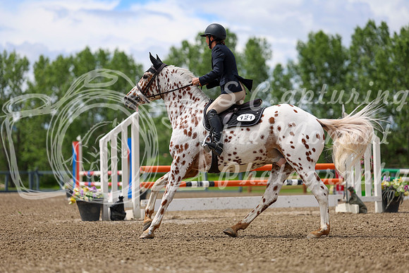 02136 - Shea - 2026 June Classic II - Thursday June 18th