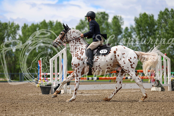 02137 - Shea - 2026 June Classic II - Thursday June 18th
