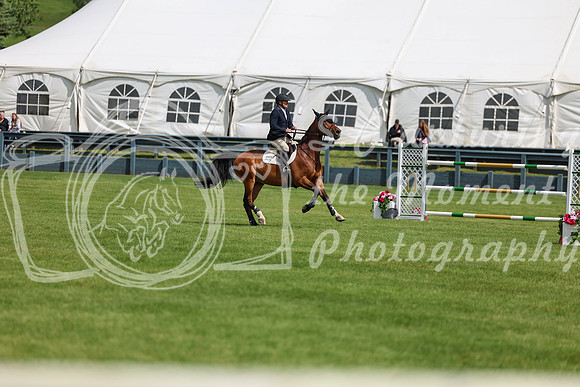 01286 - Shea - 2026 June Classic II - Thursday June 18th