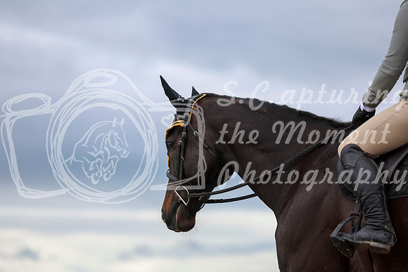 00458 - Shea - 2026 June Classic II - Thursday June 18th