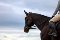 00459 - Shea - 2026 June Classic II - Thursday June 18th
