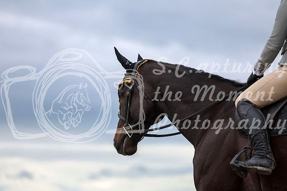 00459 - Shea - 2026 June Classic II - Thursday June 18th