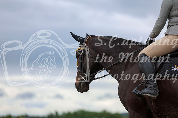 00460 - Shea - 2026 June Classic II - Thursday June 18th