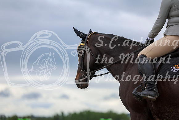 00462 - Shea - 2026 June Classic II - Thursday June 18th