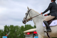 00184 - Shea - 2026 June Classic II - Thursday June 18th