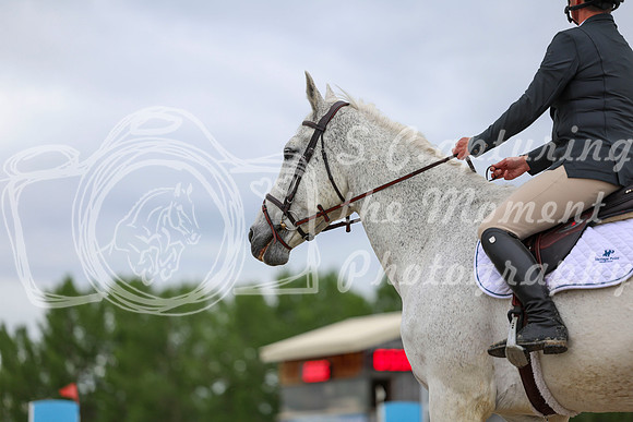 00184 - Shea - 2026 June Classic II - Thursday June 18th