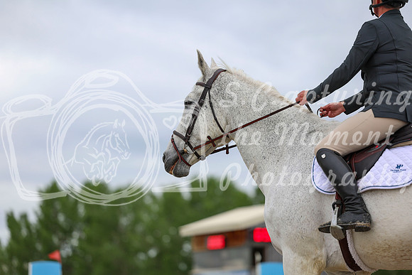00185 - Shea - 2026 June Classic II - Thursday June 18th