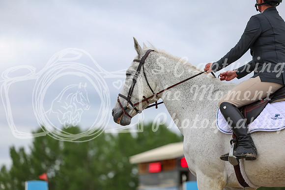 00186 - Shea - 2026 June Classic II - Thursday June 18th