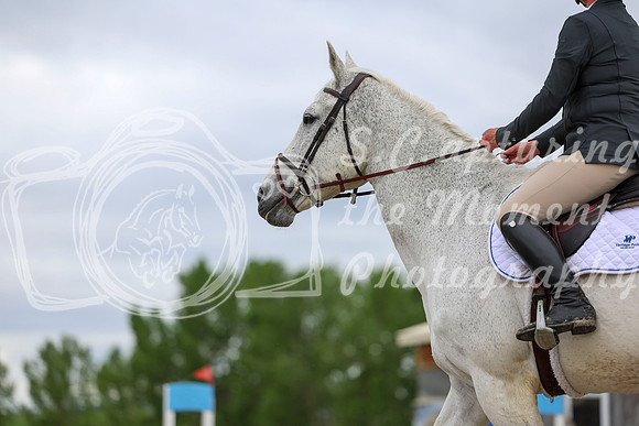 00188 - Shea - 2026 June Classic II - Thursday June 18th