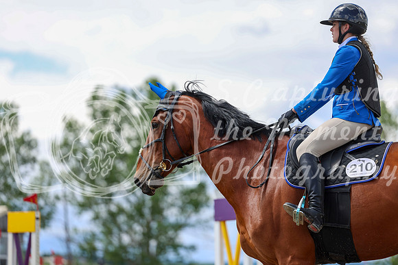 03067 - Shea - 2026 June Classic II - Thursday June 18th