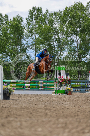 03074 - Shea - 2026 June Classic II - Thursday June 18th
