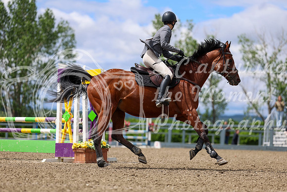 02251 - Shea - 2026 June Classic II - Thursday June 18th