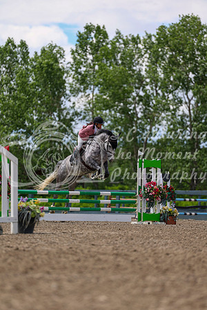 02775 - Shea - 2026 June Classic II - Thursday June 18th