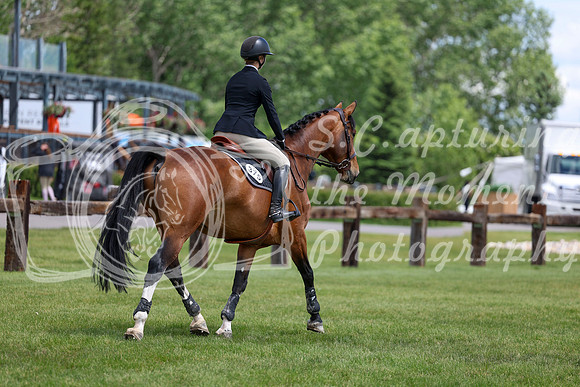 03834 - Shea - 2026 June Classic II - Thursday June 18th