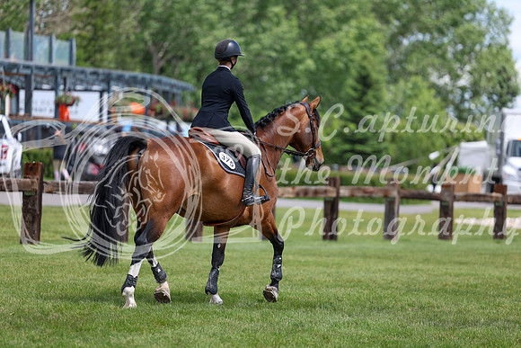03832 - Shea - 2026 June Classic II - Thursday June 18th