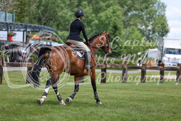 03836 - Shea - 2026 June Classic II - Thursday June 18th