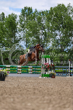 02689 - Shea - 2026 June Classic II - Thursday June 18th