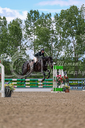 01949 - Shea - 2026 June Classic II - Thursday June 18th