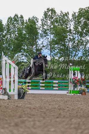 03368 - Shea - 2026 June Classic II - Thursday June 18th