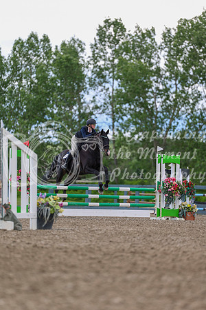 03369 - Shea - 2026 June Classic II - Thursday June 18th