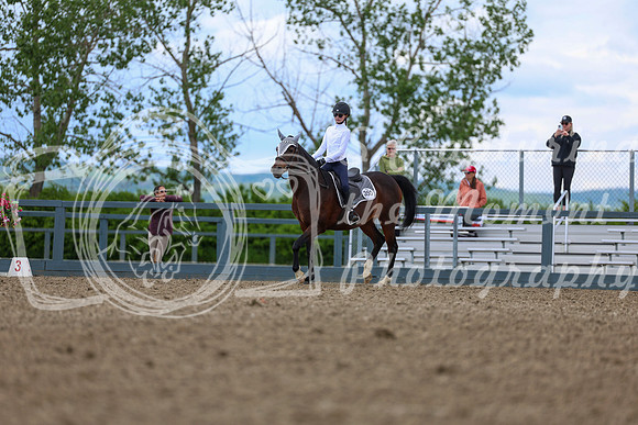 03443 - Shea - 2026 June Classic II - Thursday June 18th