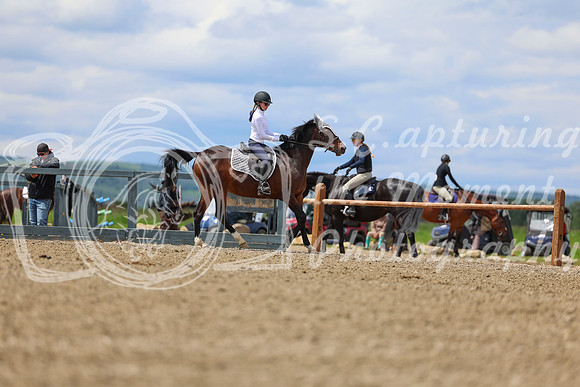 03460 - Shea - 2026 June Classic II - Thursday June 18th