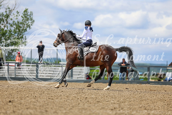 03462 - Shea - 2026 June Classic II - Thursday June 18th
