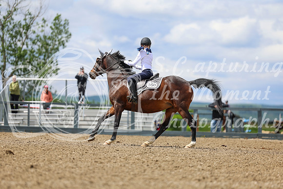 03464 - Shea - 2026 June Classic II - Thursday June 18th