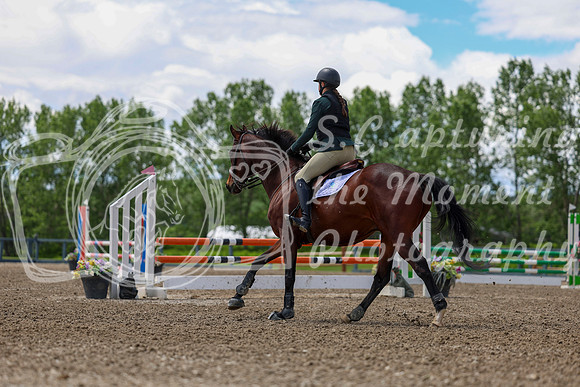02946 - Shea - 2026 June Classic II - Thursday June 18th