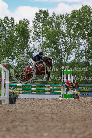 02951 - Shea - 2026 June Classic II - Thursday June 18th