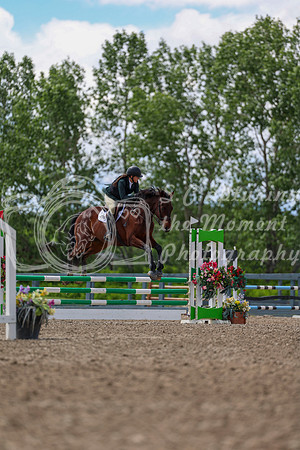 02953 - Shea - 2026 June Classic II - Thursday June 18th