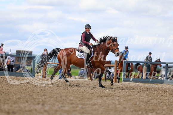 03038 - Shea - 2026 June Classic II - Thursday June 18th