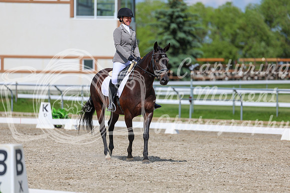 2025 - Dressage Festival - Saturday July 5th - 14611