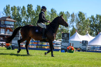 01620 - Shea - 2026 June Classic II - Friday June 19th