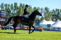 01622 - Shea - 2026 June Classic II - Friday June 19th
