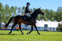 01624 - Shea - 2026 June Classic II - Friday June 19th