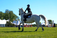 01695 - Shea - 2026 June Classic II - Friday June 19th