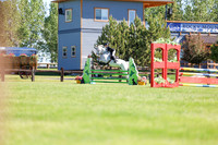 01708 - Shea - 2026 June Classic II - Friday June 19th