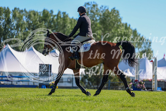 01229 - Shea - 2026 June Classic II - Friday June 19th