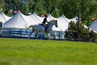 259