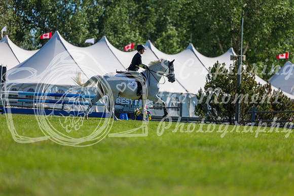 02307 - Shea - 2026 June Classic II - Friday June 19th