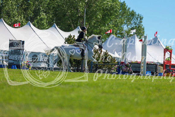 02310 - Shea - 2026 June Classic II - Friday June 19th