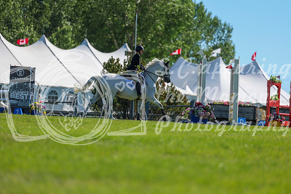 02311 - Shea - 2026 June Classic II - Friday June 19th