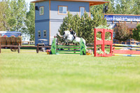 02321 - Shea - 2026 June Classic II - Friday June 19th
