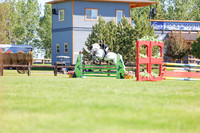 02322 - Shea - 2026 June Classic II - Friday June 19th
